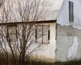 Elewacje starych domów: zniszczony tynk, puste okna i nagie gałęzie drzew tworzą melancholijną galerię.