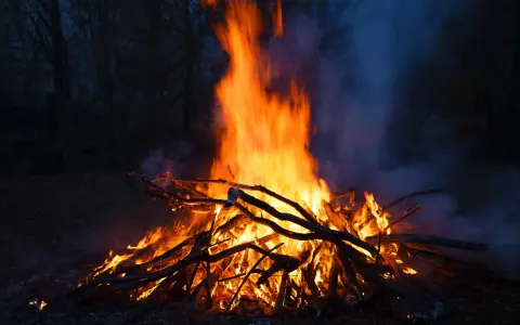 Jasne, że można palić ognisko na działce, ale z głową! Duże ognisko płonie w ciemności, otoczone drzewami.