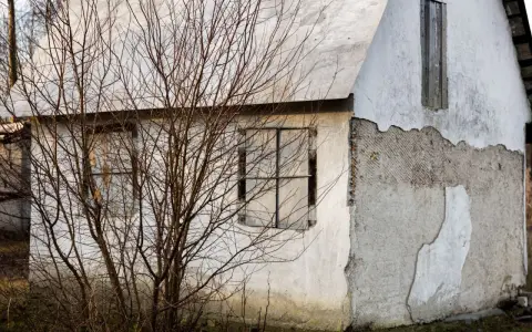 Elewacje starych domów: zniszczony tynk, puste okna i nagie gałęzie drzew tworzą melancholijną galerię.