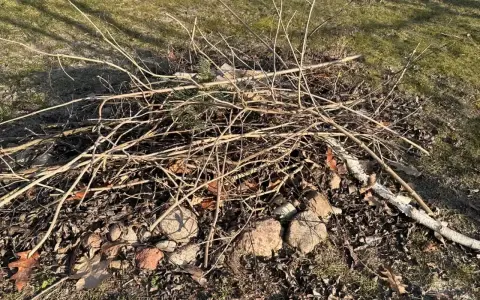 Stos gałęzi i liści na trawniku. Czy można palić gałęzie na wsi? To zależy od przepisów.