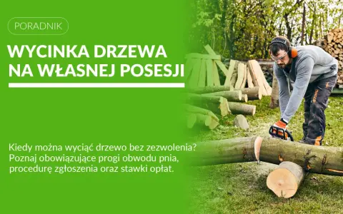 Mężczyzna w okularach i słuchawkach tnie piłą drzewo. Dowiedz się, do kiedy można wycinać drzewa na własnej posesji.