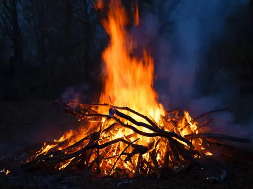 Jasne, że można palić ognisko na działce, ale z głową! Duże ognisko płonie w ciemności, otoczone drzewami.
