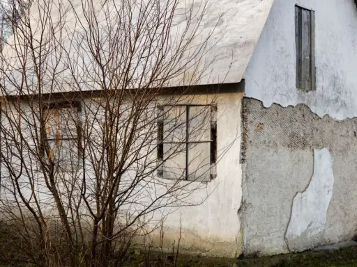 Elewacje starych domów: zniszczony tynk, puste okna i nagie gałęzie drzew tworzą melancholijną galerię.