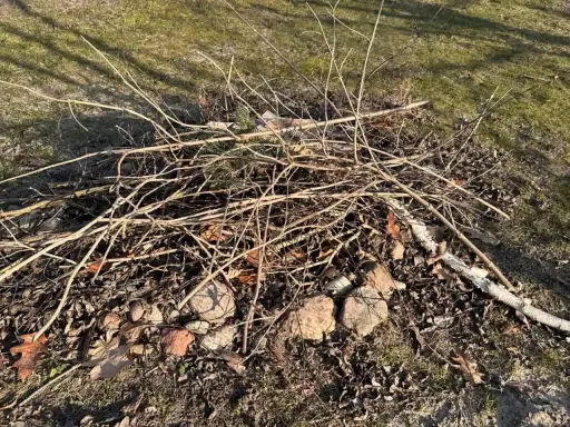 Stos gałęzi i liści na trawniku. Czy można palić gałęzie na wsi? To zależy od przepisów.