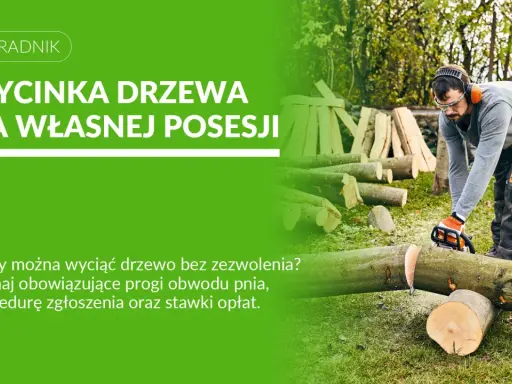 Mężczyzna w okularach i słuchawkach tnie piłą drzewo. Dowiedz się, do kiedy można wycinać drzewa na własnej posesji.