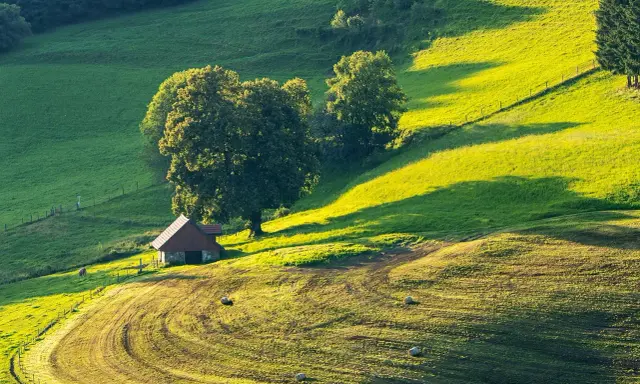 Malownicza działka siedliskowa z małym domkiem, drzewami i zielonymi wzgórzami w słońcu.