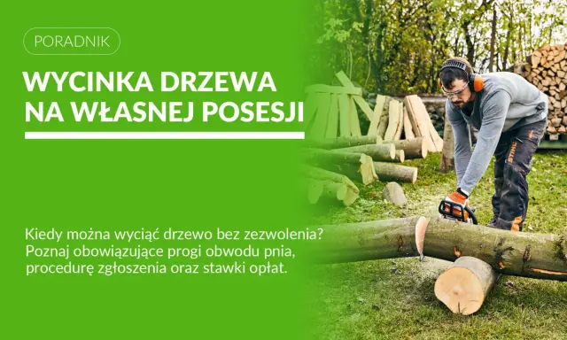 Mężczyzna w okularach i słuchawkach tnie piłą drzewo. Dowiedz się, do kiedy można wycinać drzewa na własnej posesji.